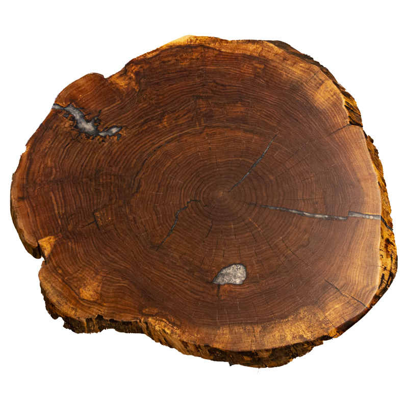 Live Edge End Table - Rustic Walnut