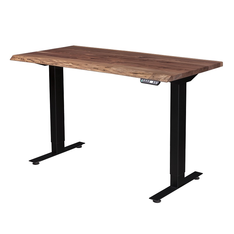 Adona Adjustable Standing Desk - Quick Ship