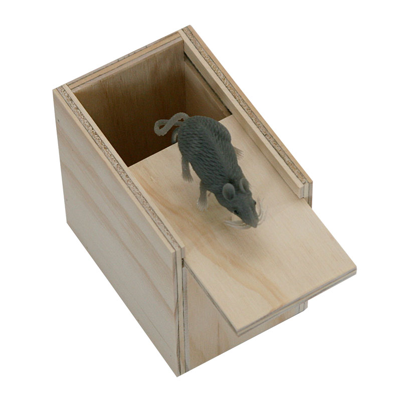 Surpise Mouse Box