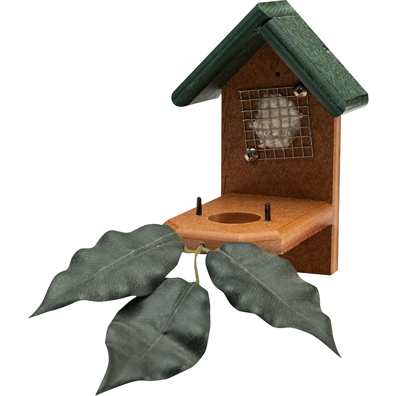 Hummingbird Nest House