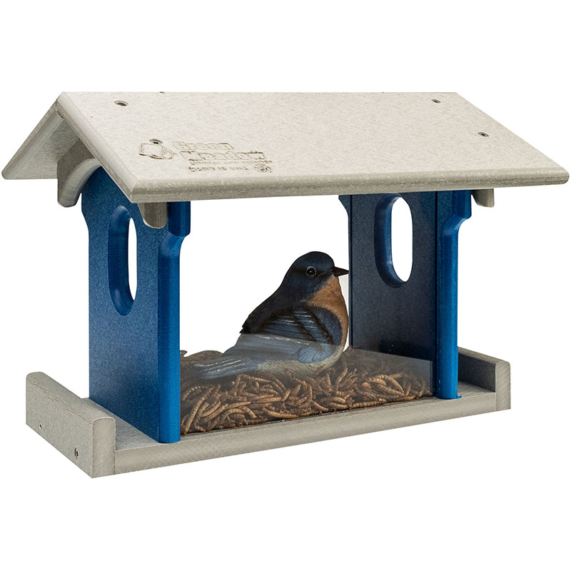 Bluebird Feeder 11x8