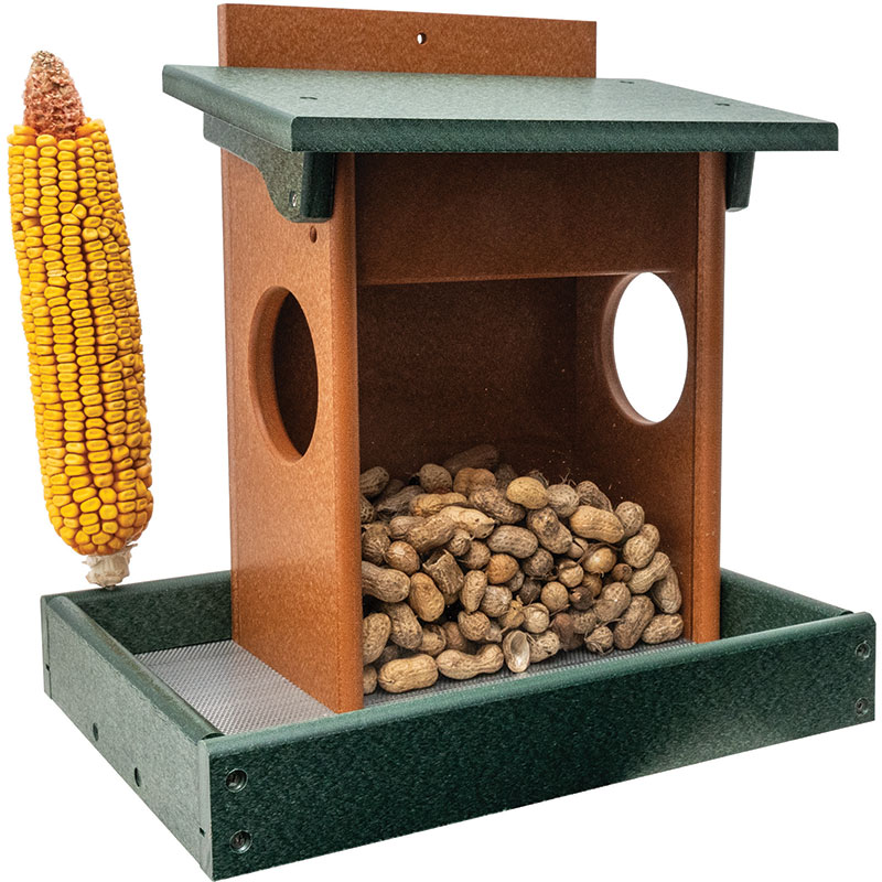 Squirrel Feeder