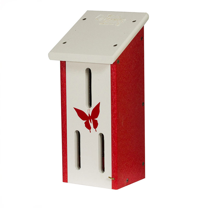 Small Butterfly House