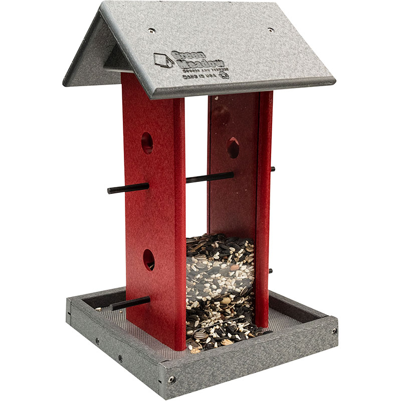 Song Bird Feeder